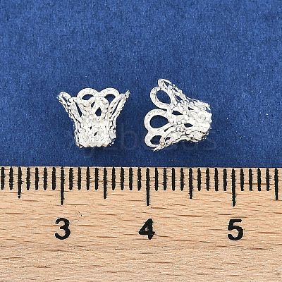 Iron Bead Caps IFIN-D042-8x6-S-1