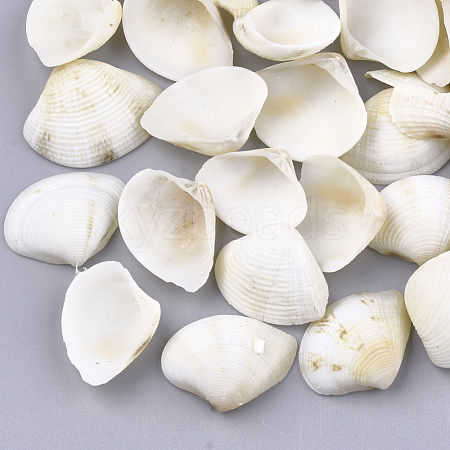 Clam Shell Beads SSHEL-S258-49-1