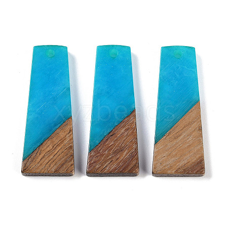 Resin & Wood Pendants WOOD-F015-04G-1