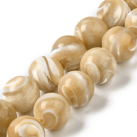 Natural Trochus Shell Beads Strands SHEL-K006-18B-1