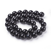Natural Obsidian Beads Strands LS-G-G099-12mm-24-2