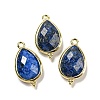 Natural Lapis Lazuli Faceted Pendants G-M431-15G-05-1