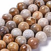 Natural Fossil Coral Beads Strands X-G-D135-8mm-01-1