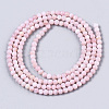 Natural Freshwater Shell Beads Strands BSHE-T009-01D-2