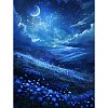 Moonscape DIY Diamond Painting Kit PW-WG754B1-02-1