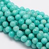 Round Natural Amazonite Bead Strands G-L425-23-10mm-1