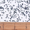 MIYUKI Delica Beads Small SEED-X0054-DBS0325-4