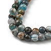 Round Natural Apatite Beads Strands G-K068-02-5mm-3