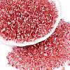 6/0 Baking Paint Transparent Fringe Glass Seed Beads X1-SEED-N006-06F-1