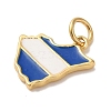 ack Plating Brass Enamel Charms KK-L220-017G-2