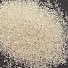 8/0 Round Glass Seed Beads SEED-J018-F8-61-2