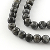 Natural Labradorite Round Bead Strands G-R342-8mm-09-2