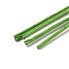 Paper Twist Ties AJEW-WH0021-18B-03-2