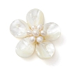 Natural Pearl & Shell Links Connector Charms PALLOY-JF02636-01-1