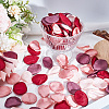 300Pcs Polyester Artificial Rose Flower Petals FIND-CN0002-43C-4