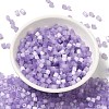 Glass Seed Beads X1-SEED-H002-D-A815-2