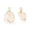 Natural Quartz Crystal Pendants PALLOY-JF01012-1