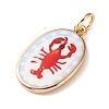 Printed Brass Enamel Pendants KK-CBADFD5-04G-B-2