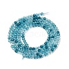 Transparent Glass Beads Strands GLAA-H027-01E-3