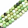 Natural Serpentine Beads Strands G-R485-11-6mm-1