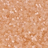 MIYUKI Delica Beads SEED-JP0008-DB0821-2
