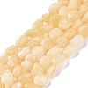 Natural Yellow Jade Beads Strands G-G146-A20-01-1