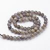 Natural Labradorite Bead Strands G-J352-01-4mm-2