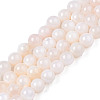 Natural Freshwater Shell Beads Strands X-BSHE-T009A-01B-1