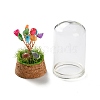 Natural Shell Chips Money Tree in Dome Glass Bell Jars with Wood Base Display Decorations DJEW-K030-02J-3