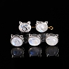 Natural Rainbow Moonstone Beads PW-WG2C262-07-1