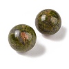 Natural Unakite No Hole Sphere Beads G-K353-04C-05-2