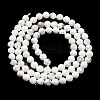 Natural Howlite Beads Strands G-E608-A01-C-3