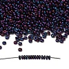 TOHO 6/0 Demi Round Beads X-SEED-DR06-0504-1