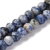 Natural Blue Spot Jasper Beads Strands G-K380-A02-01-1