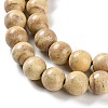 Natural Rainbow Alashan Agate Beads Strands G-NH0022-A06-02-4