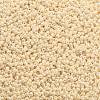 TOHO Round Seed Beads SEED-XTR11-0123-2