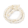 Natural Anomaly Freshwater Shell Beads Strands BSHE-S304-05A-2