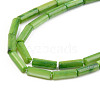 Natural Freshwater Shell Beads Strand SHEL-T017-40-3