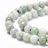 Natural Jadeite Beads Strands G-L568-001D-2