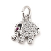 Rack Plating Brass Micro Pave Cubic Zirconia Charms KK-K270-17P-1