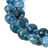 Natural Apatite Beads Strands G-B094-A26-01-3