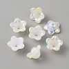 Opaque Acrylic Bead Caps SACR-TAC0007-02H-1