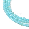 Natural Freshwater Shell Beads Strands SHEL-P017-01A-03-3