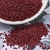MIYUKI Delica Beads SEED-JP0008-DB2354-1