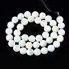 Natural Trochid Shell/Trochus Shell Beads Strands SSHEL-S266-023A-04-2