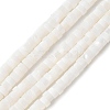 Natural Freshwater Shell Beads Strands X-SSHEL-C013-04B-1