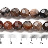 Natural Petrified Wood Beads Strands G-C150-B01-02-5