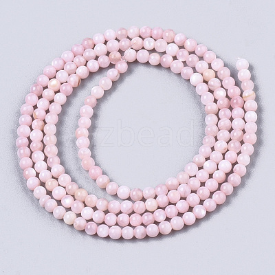 Natural Freshwater Shell Beads Strands BSHE-T009-01D-1