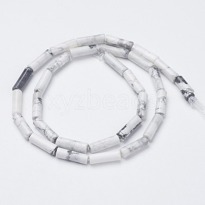 Natural Howlite Bead Strands G-G968-F03-1