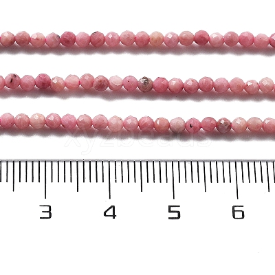 Natural Rhodonite Beads Strands G-H080-B02-02-1